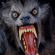 Benutzer Avatar
